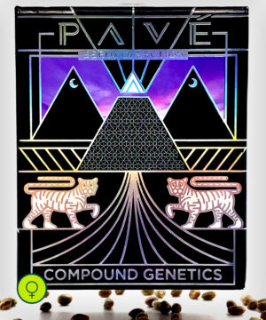 Park Avenue Pave Compound Genetics