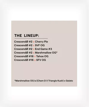 CrescendØ Multipack - line-up - ETHOS - Netseeds