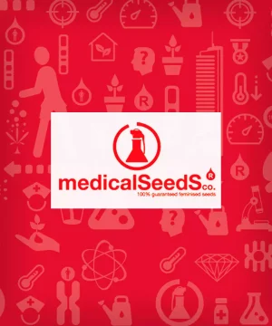 Geral_MedicalSeeds